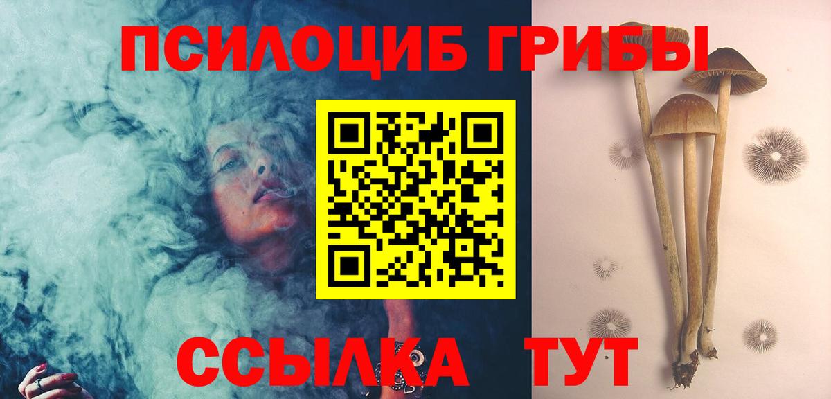 Алушта  Псилоцибиновые грибы Psilocybe  Вход с VPN 